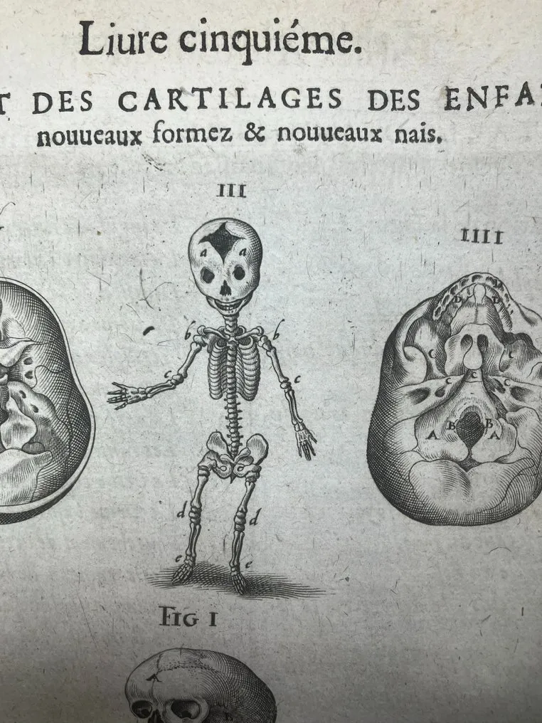André du Laurens