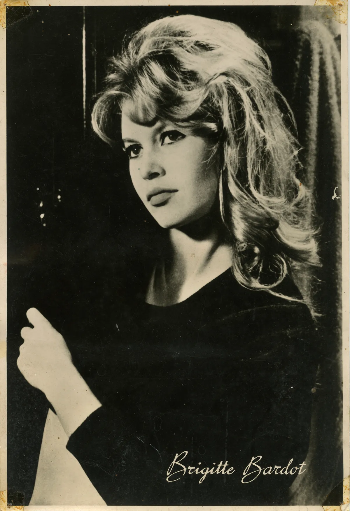 Brigitte Bardot